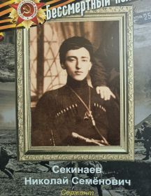 Секинаев Николай Семёнович