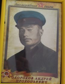 Окороков Андрей Прокопьевич