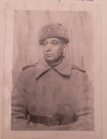 Шалыгин Дантон Яковлевич