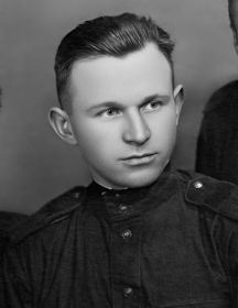 Раев Михаил Иванович
