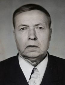 Дружицкий Владимир Иванович