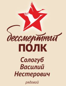 Сологуб Василий Нестерович