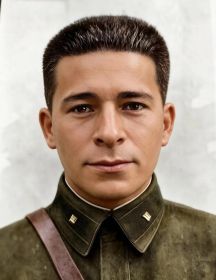 Евграшин Александр Иванович