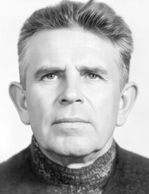 Подгорный Дмитрий Иванович