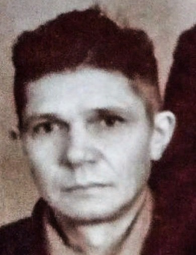 Телегин Анатолий Дмитриевич