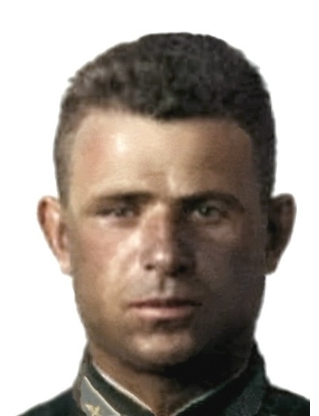 Николаев Михаил Моисеевич