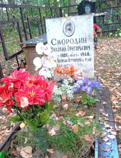 Смородин Николай Григорьевич