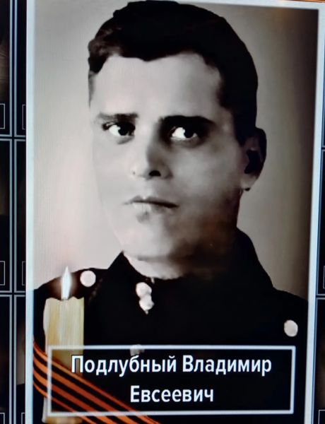 Подлубный Владимир Евсеевич