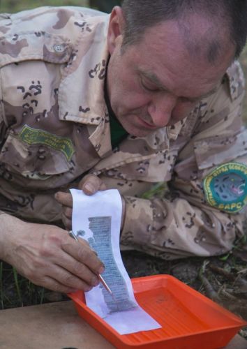 «Неугасшие имена»: специалисты расшифровали  солдатские медальоны и нашли родных через сайт Полка