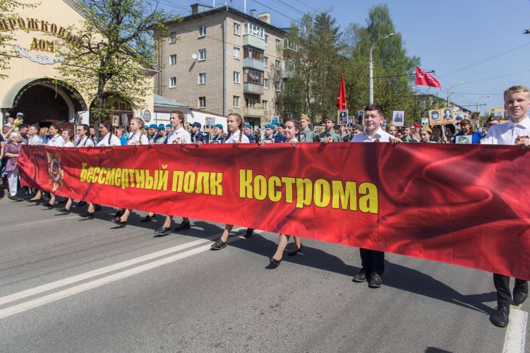 Шествие 9 мая в Костроме будет онлайн.