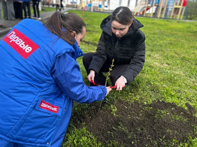 САЖЕНЦЫ СИРЕНИ СТАЛИ СИМВОЛОМ ЖИЗНИ И БЛАГОДАРНОСТИ ПОТОМКОВ