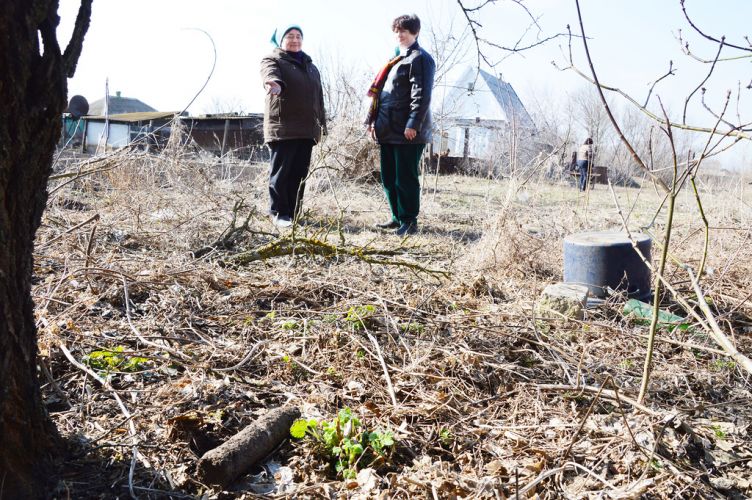 Погода в староротовке