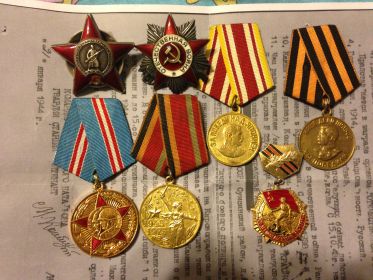 Ордена- "Красной Звезды" 1943 г. и "Отечественной войны 2 степени" 1944 г. медали- "За Победу над Германией", "За Победу над Японией", юбилейные награды