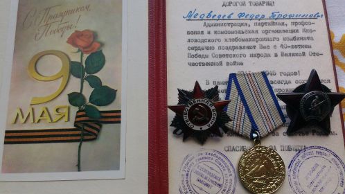 Ордена Красной Звезды И великой Отечественной Войны 1й степени, медаль за Освобождение Кавказа