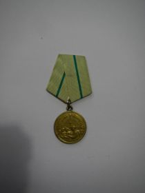 ноябрь 1944 г. награжден медалью «За оборону Ленинграда».