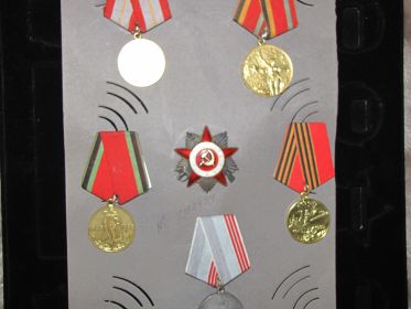 Орден и медали полученные Вагиным Евгением Петровичем