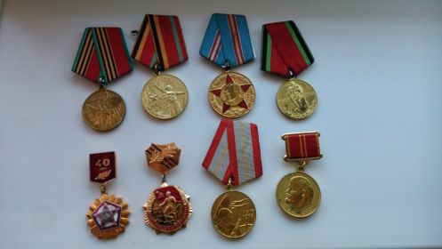 Памятные и трудовые ордена и медали