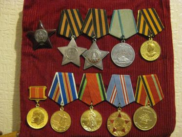Боевые и юбилейные награды.