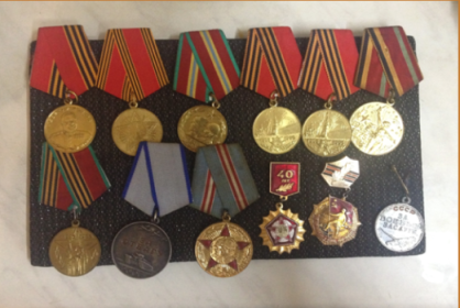Медаль "За Победу над Германией", медаль "За отвагу", медаль Жукова, юбилейные медали