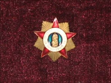 Громов В.У. Нагрудный знак Участник войны 1941-1945 гг.
