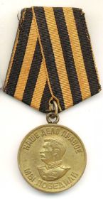 "За Победу над Германией", медаль
