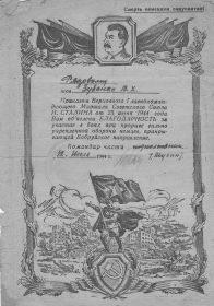 За Бобруйское направление