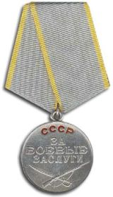 Медаль «За боевые заслуги», Орден Отечественной Войны II степени, Юбилейная медаль:"Двадцать лет победы в Великой Отечественной Войне 1941-1945 гг."