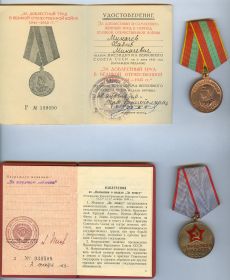 Медаль "За доблестный труд в ВОВ 1941-1945" - 30 04 1946, медаль "За трудовую доблесть" - 02 12 1953