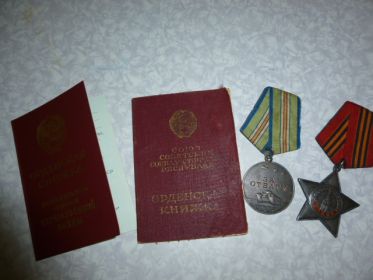 За отвагу и храбрость мой прадедушка был награжден: - орденом Отечественной Войны II степени  - орденом Славы III степени - медалью «За отвагу» - медалью «За победу над Германией»