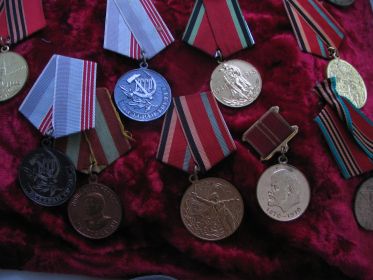 Медали Валентина Григорьевича