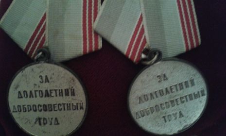 Медали за труд