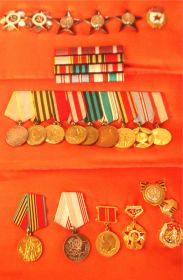 Ордена и медали Навалихина Н.А.