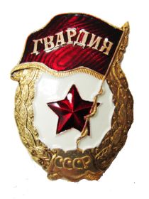 Нагрудный знак Гвардия