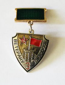 Нагрудный знак "Ветерану 3 ударной армии!