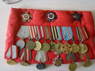 Награды, завоеванные кровью