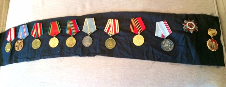 Орден Отечественной войны II степени, медалями за боевые заслуги, за победу над Японией, юбилейные медали