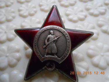 Орден Красной звезды № 731255