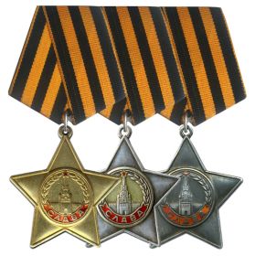 Ордена Славы 3-ёх степеней.