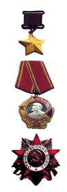 Награжден орденами Ленина (24.03.1945), Отечественной войны 1-й степени (11.03.1985), медалями, в том числе «За отвагу» (12.07.1944).