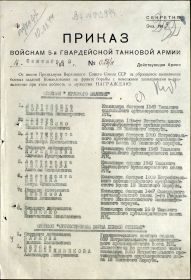 Приказ 029/н 1 стр.