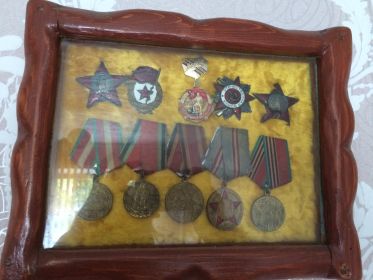 Орден Отечественной войны II –й степени; Дважды кавалер Ордена Красной звезды; нагрудный знак "Гвардия"; многочисленные ордена.