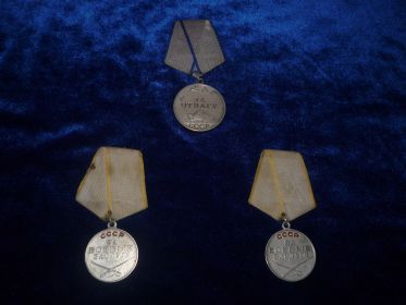 Медали "За отвагу", "За боевые заслуги"