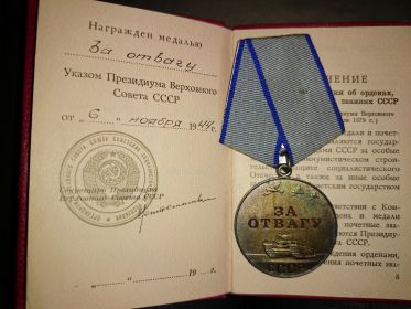 Медаль "За отвагу" № 243/н