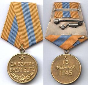 медаль за город Будапешт