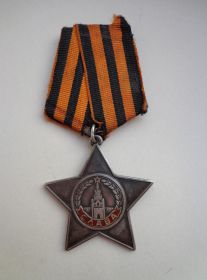 Орден Славы 3 степени