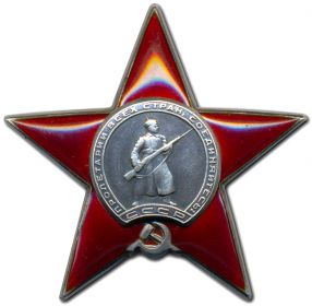 Награжден орденом Красной Звезды 20.11.1943г.