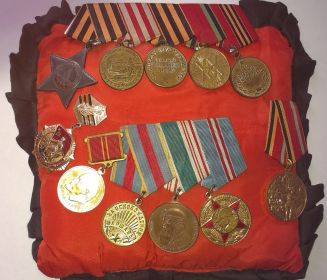 Медали: Москва, Варшава, Берлин и памятные юбилейные