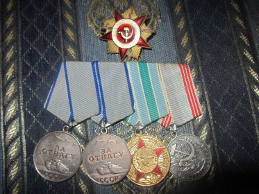 орден "Отечественной Войны" I степени, медали "За отвагу"