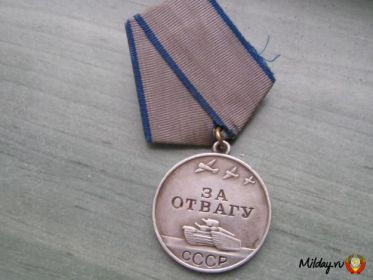 Медаль за отвагу (За бой у д Колосы Рогачевского р-на Гомельской обл 24-25.06 1944 г)
