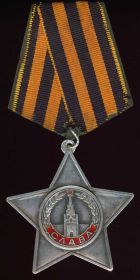 Орден Славы III степени, №663693